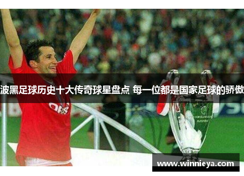 波黑足球历史十大传奇球星盘点 每一位都是国家足球的骄傲