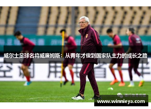 威尔士足球名将威廉姆斯：从青年才俊到国家队主力的成长之路